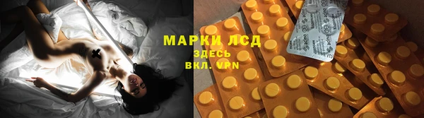 хмурый Алексин