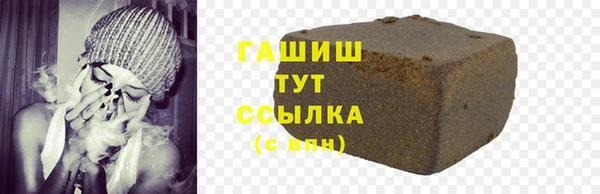 хмурый Алексин