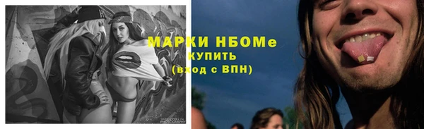 хмурый Алексин