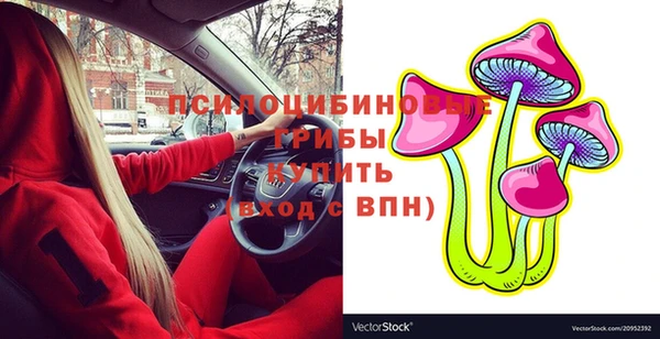 хмурый Алексин
