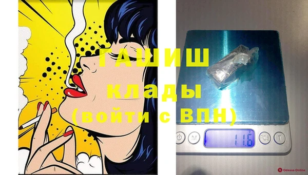 индика Покачи