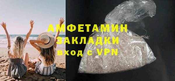 хмурый Алексин