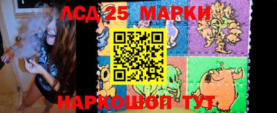 гашик Можга