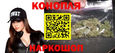 гашик Можга