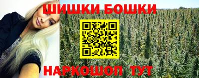 гашик Можга