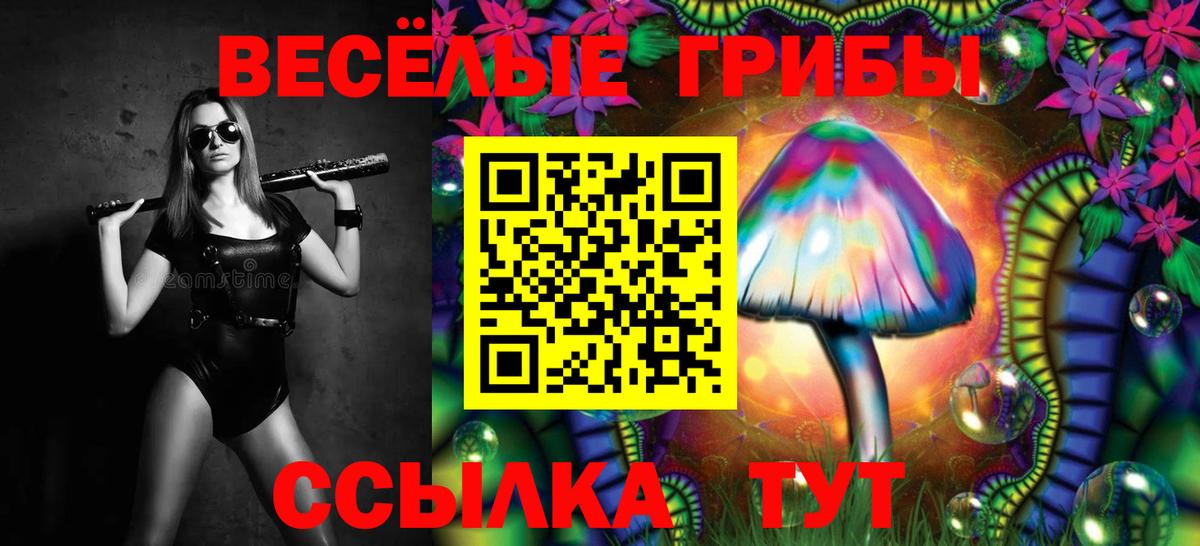 Галлюциногенные грибы мухоморы Тавда